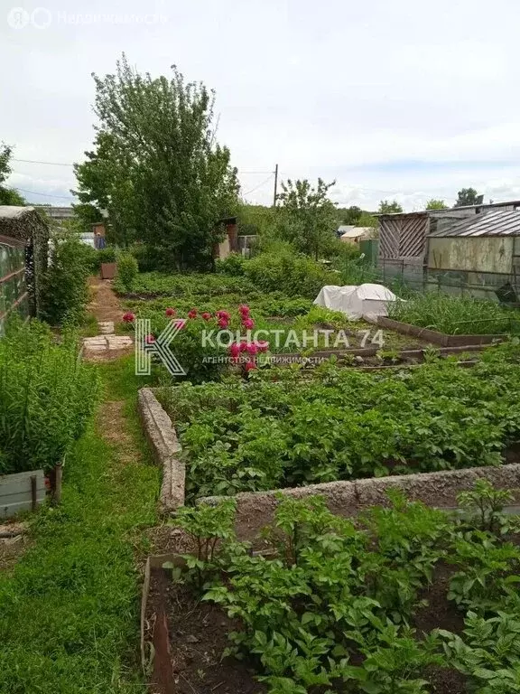 Дом в Чебаркуль, СНТ Восточный (10 м) - Фото 2