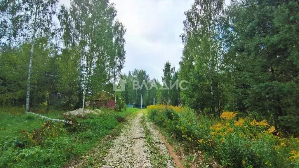 Участок в Владимирская область, Владимир пер. Лукинский, 18 (10.0 ... - Фото 1