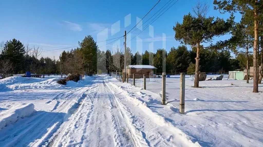 Участок в Воронежская область, Рамонский район, Новоживотинновское ... - Фото 2