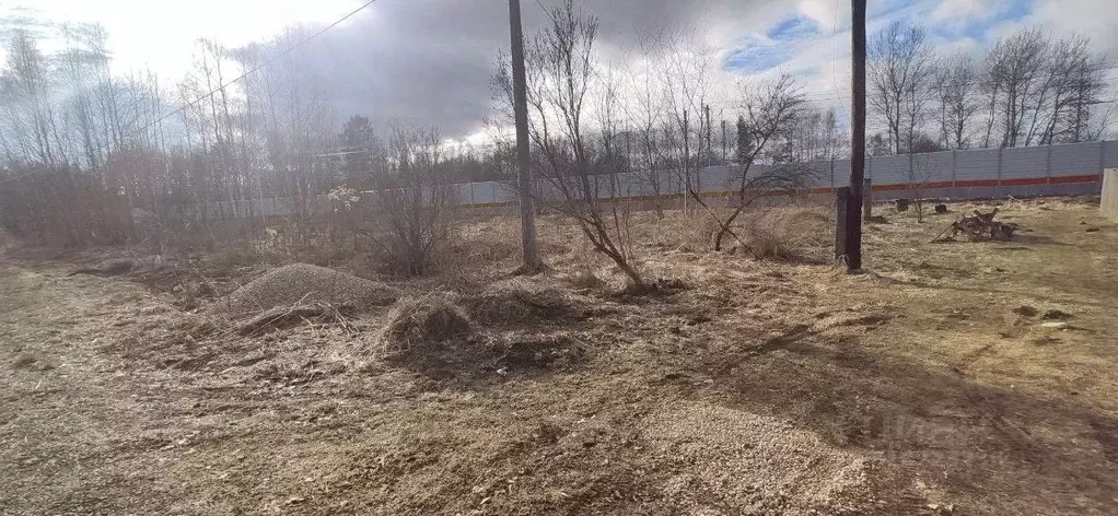 Участок в Московская область, Талдомский городской округ, д. Растовцы  ... - Фото 1