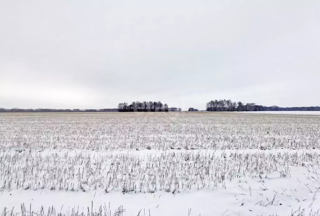 Участок в Омская область, Омский район, с. Калинино Омская ул. (11.7 ... - Фото 0