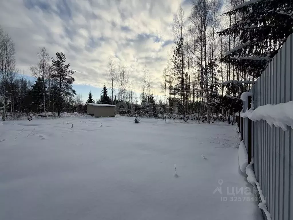 Участок в Ленинградская область, Гатчинский муниципальный округ, ... - Фото 1