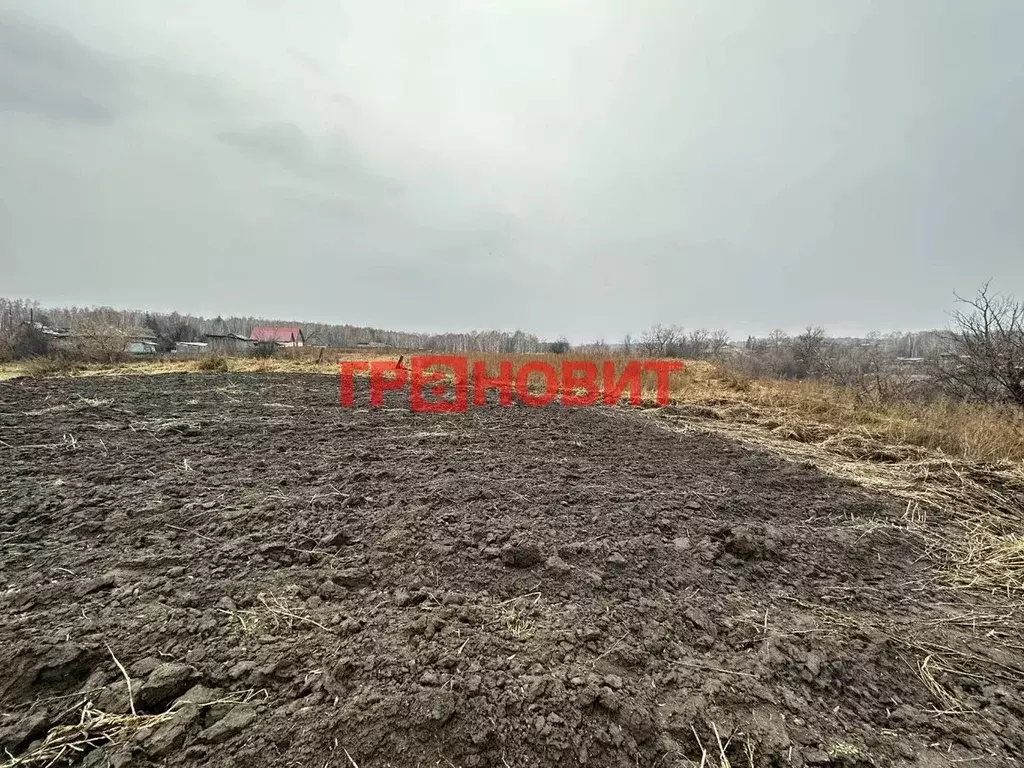 Участок в Новосибирская область, Ордынский район, с. Кирза Боровая ... - Фото 1