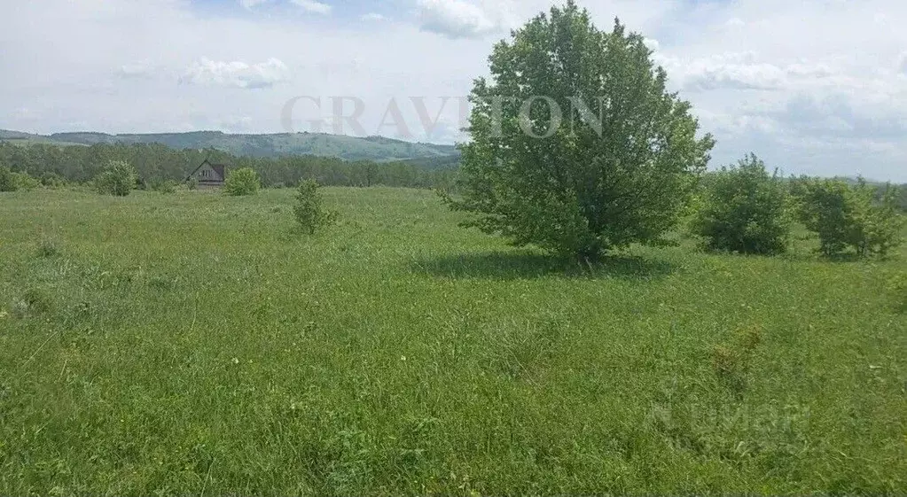 Участок в Алтай, Майминский район, с. Подгорное ул. Магистральная ... - Фото 2