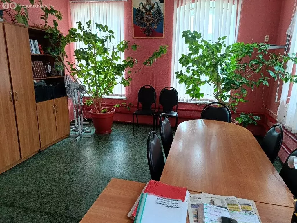 Помещение свободного назначения (20.4 м) - Фото 1