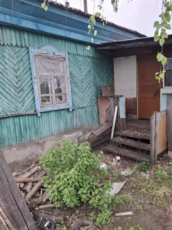 Дом в Алтайский край, Барнаул городской округ, пос. Ягодное пер. ... - Фото 1