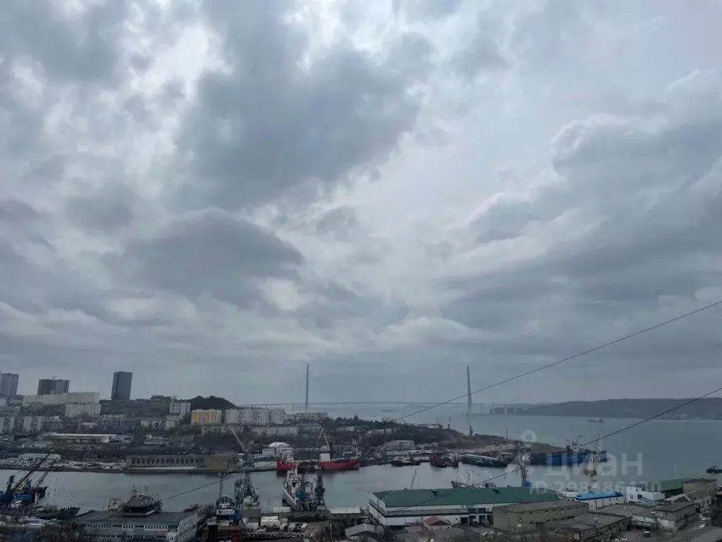 1-к кв. Приморский край, Владивосток ул. Калинина, 115А (46.0 м) - Фото 0