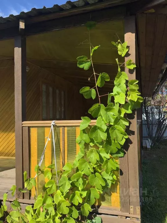 Дом в Новосибирская область, Колыванский район, Импульс СНТ ул. ... - Фото 2