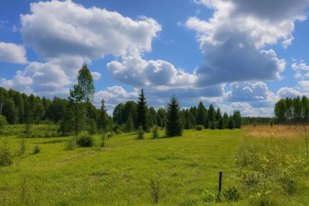 Участок в Московская область, Королев Болшево мкр, ул. Королева, 1Б ... - Фото 2