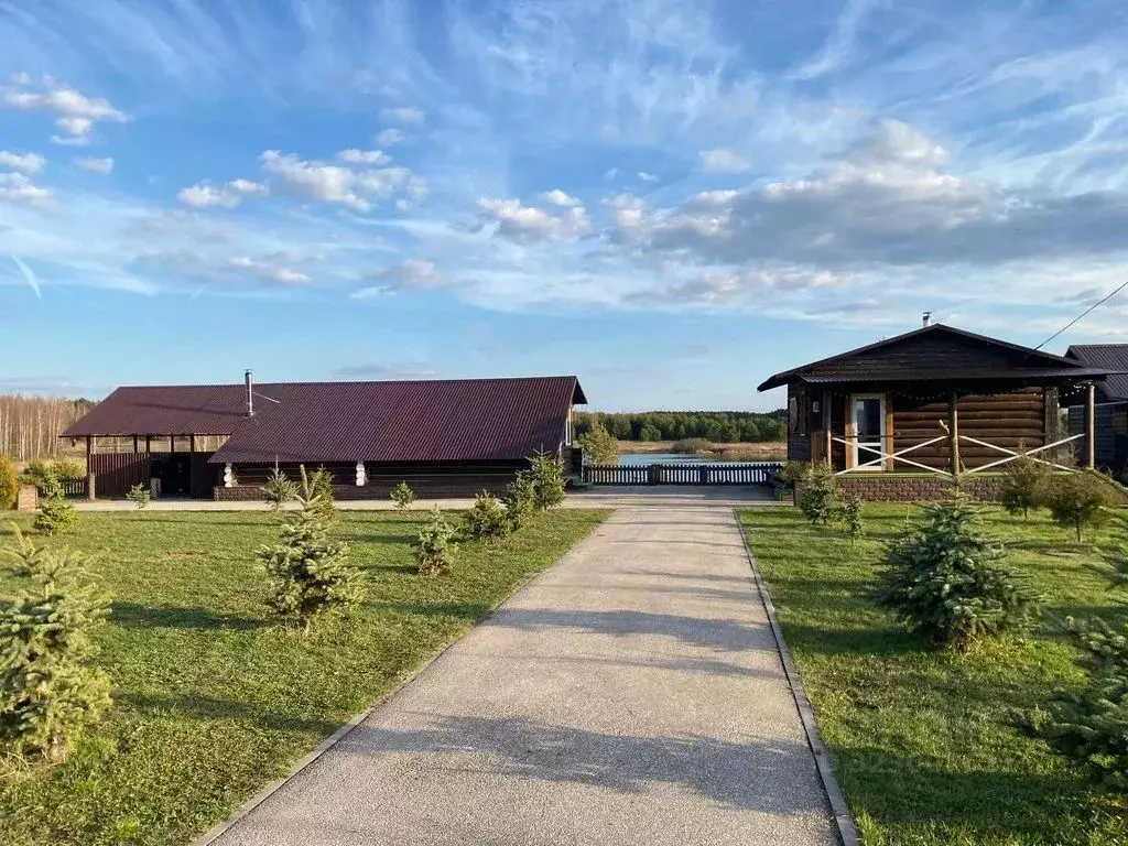 Комната Рязанская область, Шиловский район, Тимошкинское с/пос, с. ... - Фото 1
