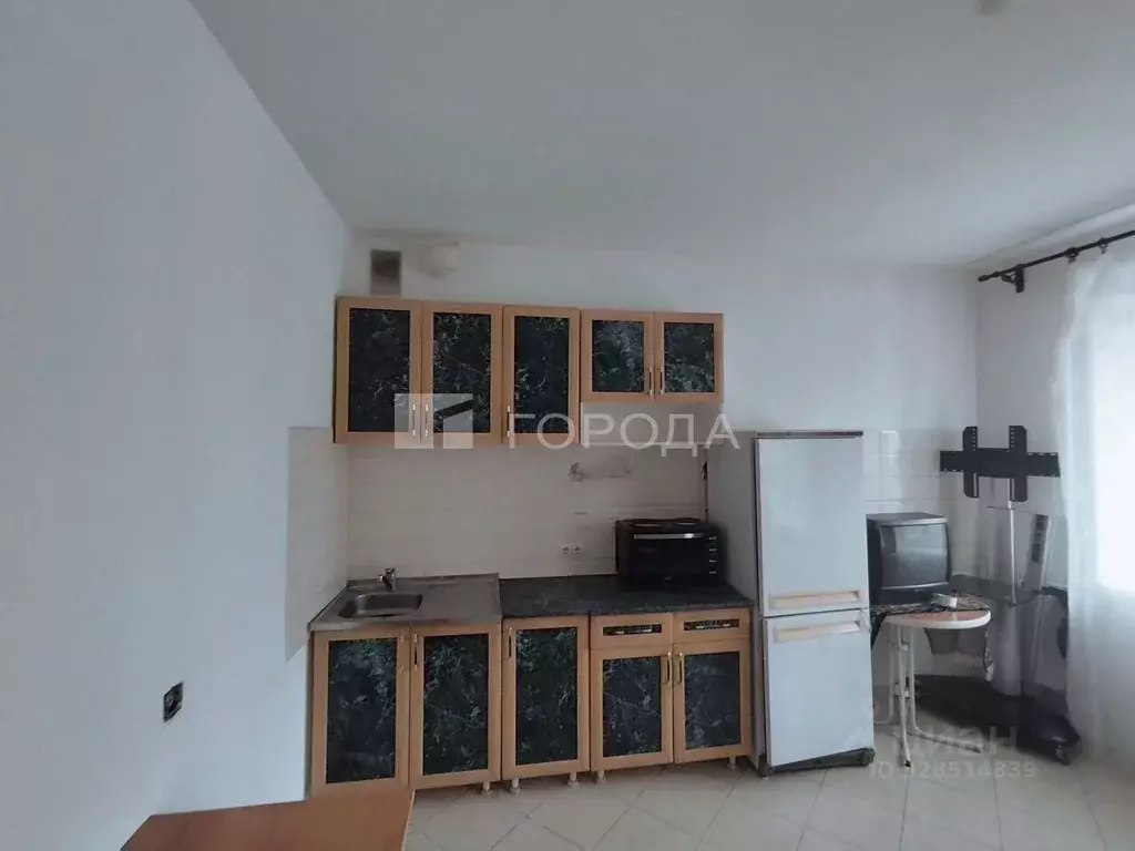 Студия Новосибирская область, Новосибирск Благовещенская ул., 48/1 ... - Фото 1