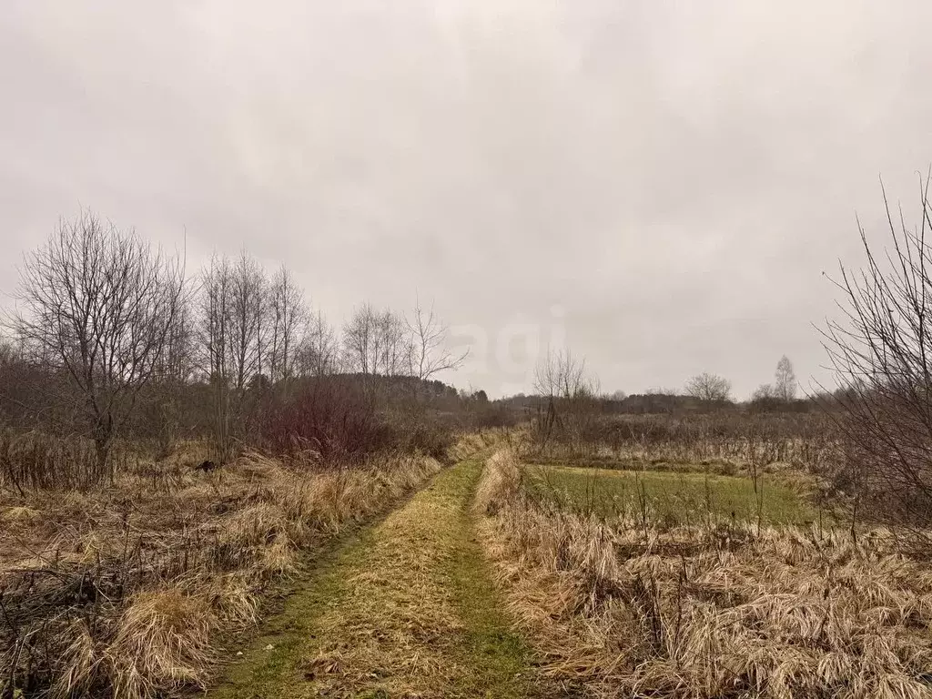 Участок в Смоленская область, Смоленский муниципальный округ, д. ... - Фото 2