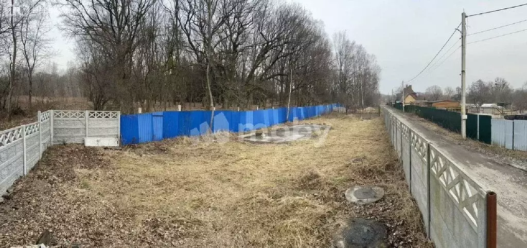 Участок в Калининград, СНТ Дружба-1, Флотский проезд (4.26 м) - Фото 0