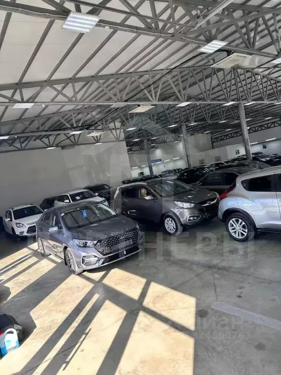 Помещение свободного назначения в Краснодарский край, Краснодар ... - Фото 2