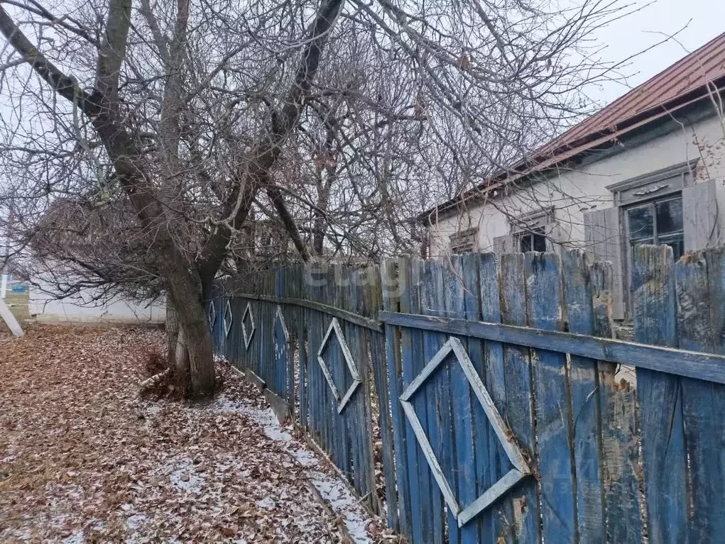 Дом в Белгородская область, Вейделевский район, с. Закутское ул. ... - Фото 0