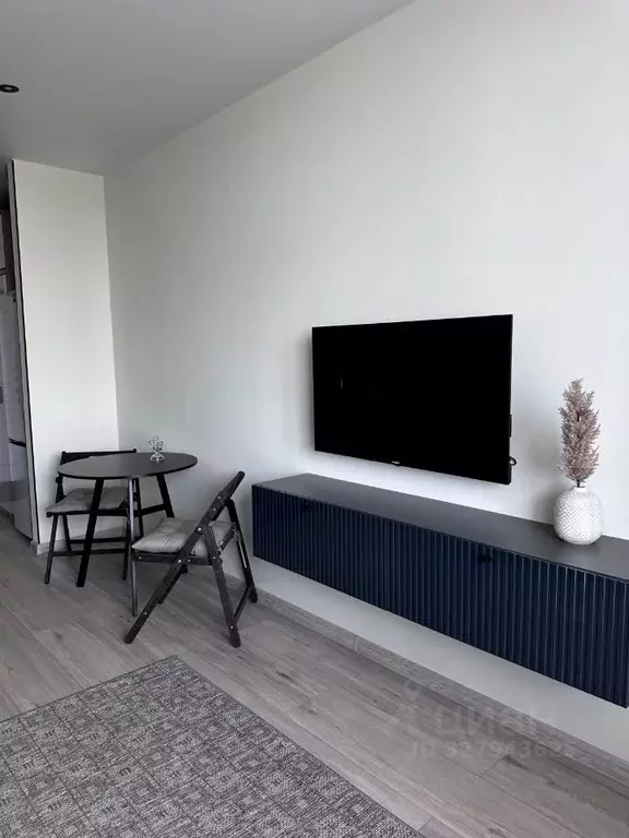 Студия Санкт-Петербург пос. Шушары, ул. Окуловская, 18 (22.8 м) - Фото 1