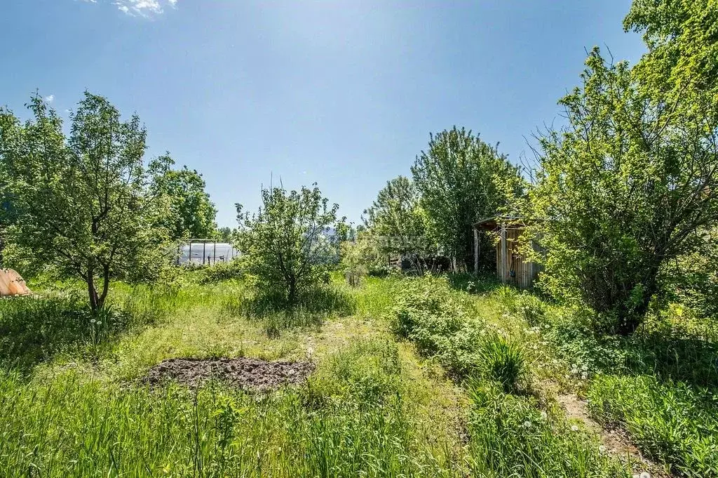 Участок в Тюменская область, Тюменский район, Красная Горка СНТ ул. ... - Фото 2