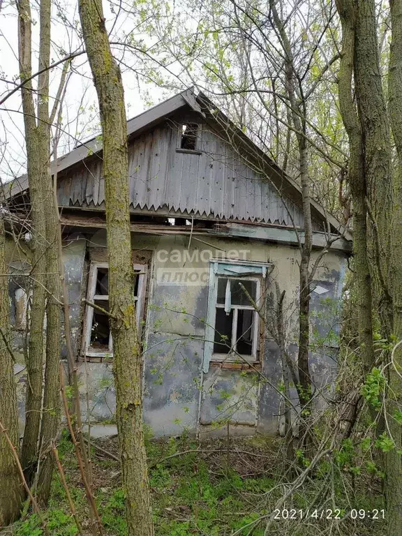 Дом 43,2 м на участке 35,9 сот. - Фото 0
