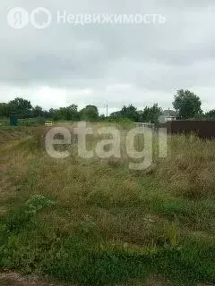 Участок в Белгородская область, Алексеевка (16 м) - Фото 0