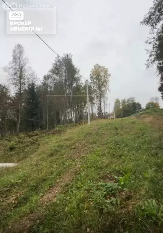 Участок в деревня Сарженка, ДНП Лесной Хутор (240 м) - Фото 1
