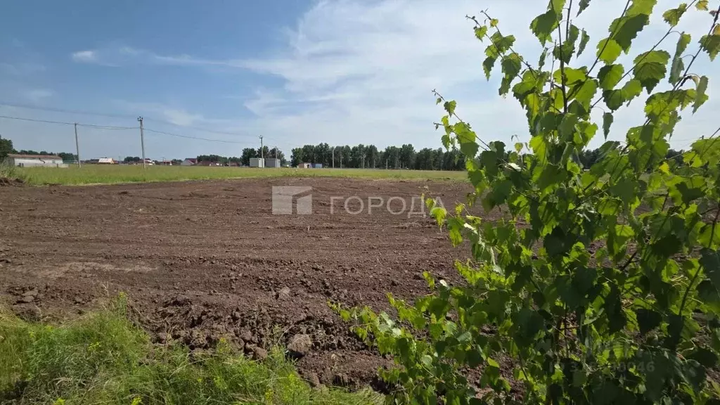 Участок в Новосибирская область, Новосибирский район, Морской ... - Фото 0