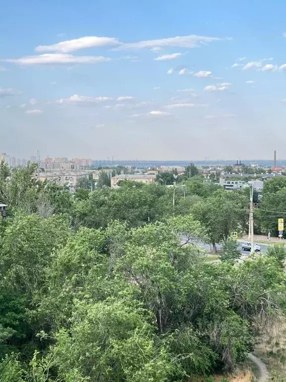 1-к кв. Волгоградская область, Волгоград Ополченская ул., 28 (31.9 м) - Фото 0