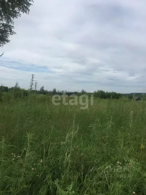 Участок в Хабаровский край, Хабаровск Виктория садовое товарищество,  ... - Фото 1