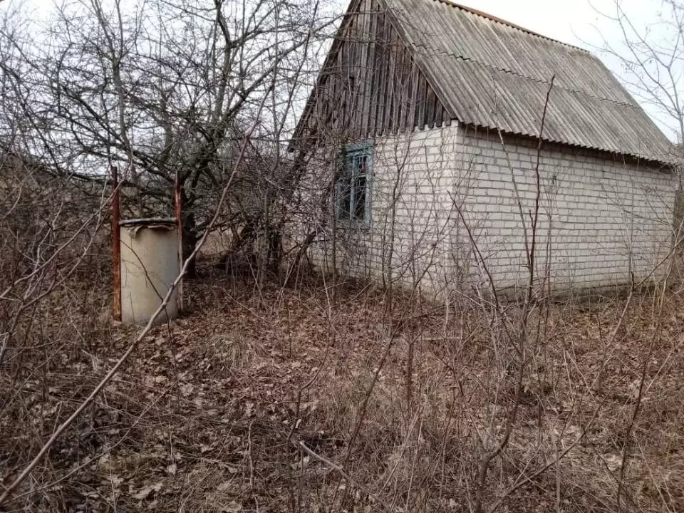 Дом в Белгородская область, Белгородский район, пос. Майский Садовая ... - Фото 0