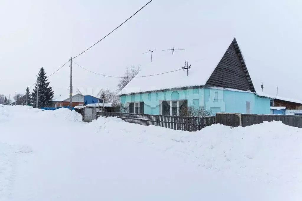 Дом в Новосибирская область, Новосибирский район, с. Криводановка ... - Фото 1