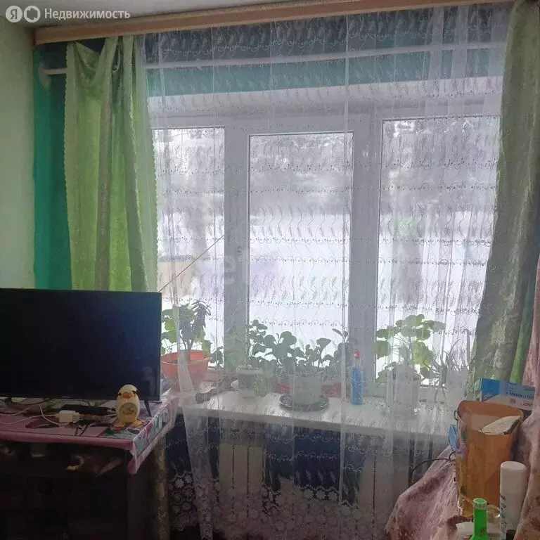 1-комнатная квартира: село Малояз, Коммунистическая улица, 62 (28.5 м) - Фото 2