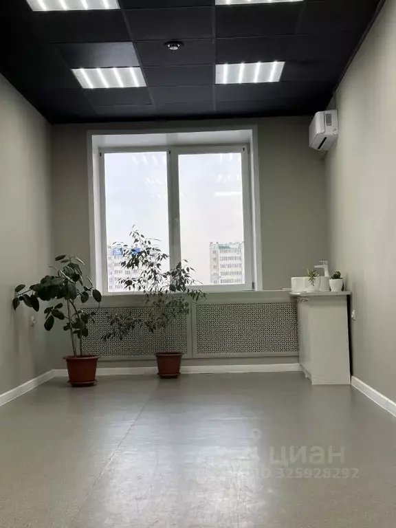 Офис в Алтайский край, Барнаул Лазурная ул., 7 (27 м) - Фото 1