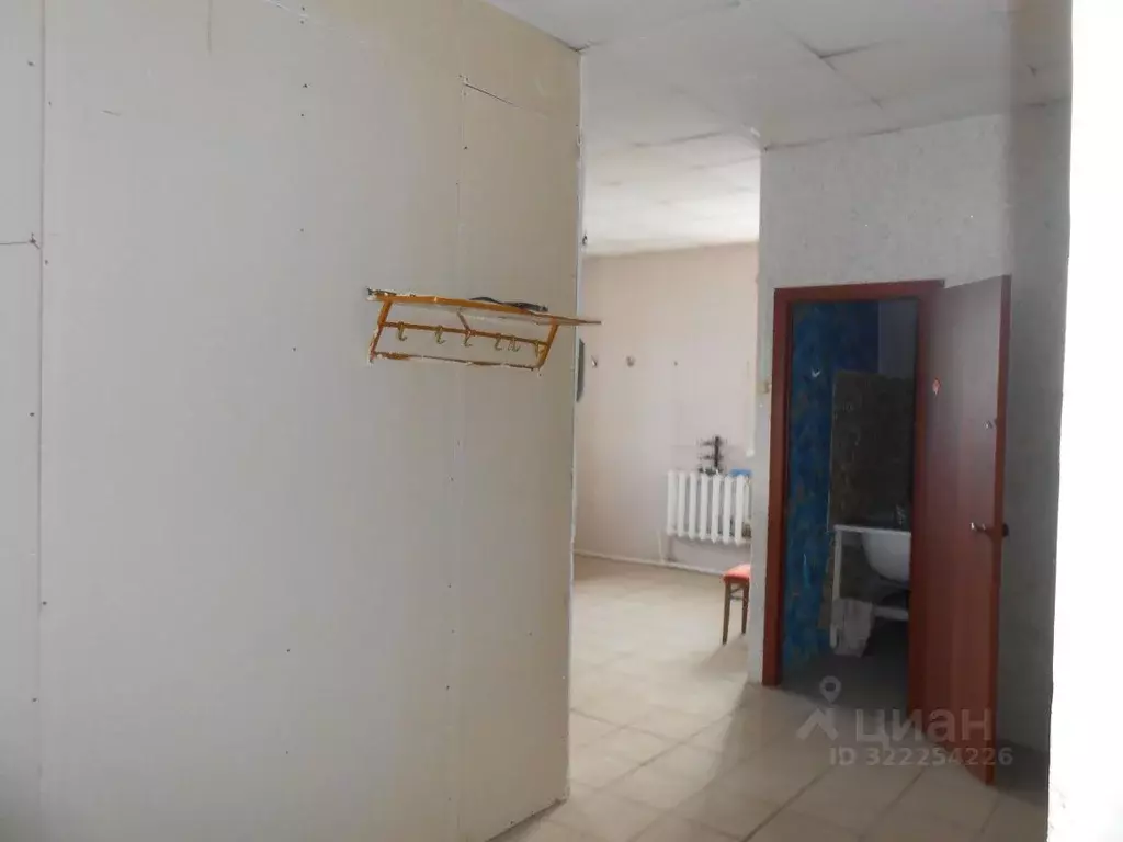 Помещение свободного назначения в Челябинская область, с. Еткуль ул. ... - Фото 1
