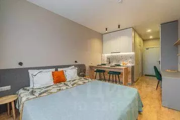 1-к кв. Санкт-Петербург дор. На Турухтанные острова, 5к1 (22.0 м) - Фото 1