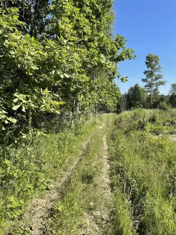 Участок в Калужская область, Калуга городской округ, д. Косарево  ... - Фото 1