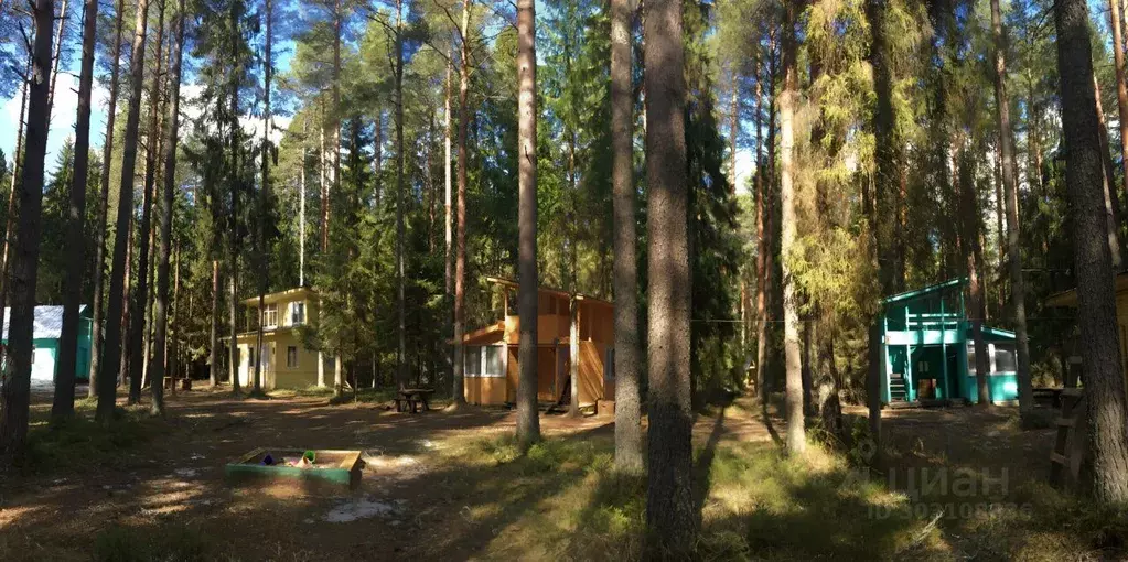 Дом в Вологодская область, Череповецкий район, д. Степаново  (60 м) - Фото 2