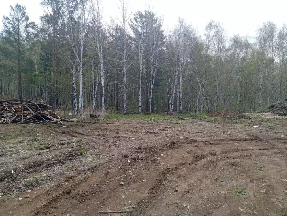 Участок в Иркутская область, Иркутский муниципальный округ, д. ... - Фото 2