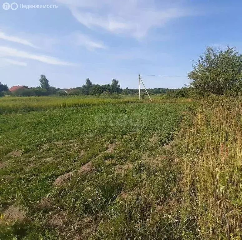 Участок в Калининградская область, Гурьевский муниципальный округ, СТ ... - Фото 1