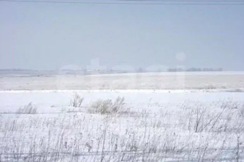 Участок в Мордовия, Лямбирский район, Берсеневское с/пос, д. Русская ... - Фото 1