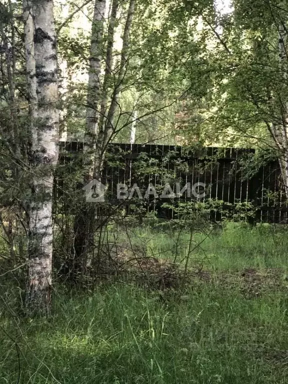 Участок в Владимирская область, Судогодский район, Лавровское ... - Фото 0