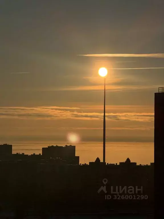 Студия Санкт-Петербург Мебельная ул., 35к2 (24.0 м) - Фото 1