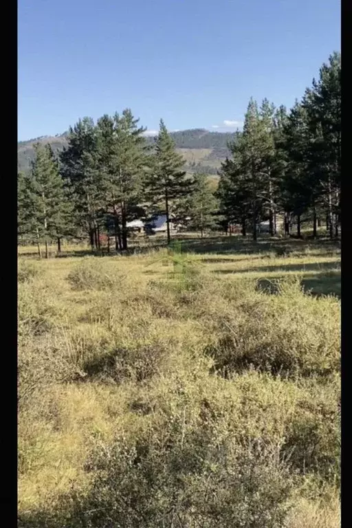 Участок в Бурятия, Иволгинский район, Сотниковское с/пос, с. ... - Фото 1