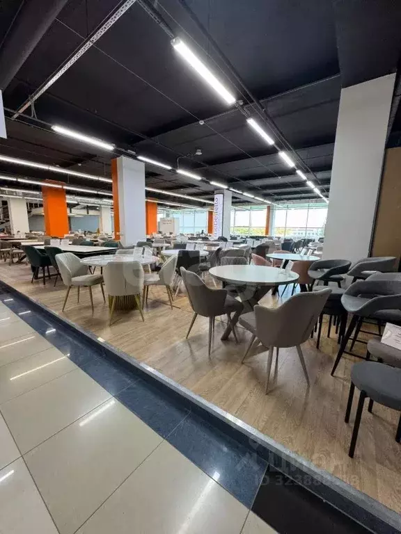 Помещение свободного назначения в Тюменская область, Тюмень ул. 30 лет ... - Фото 1