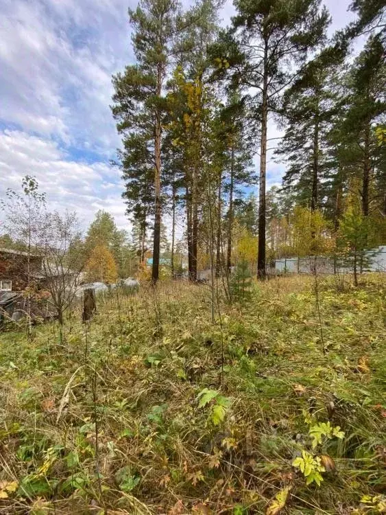 Дом в Иркутская область, Иркутск Лесной мкр, ул. Земледельческая, 21 ... - Фото 1