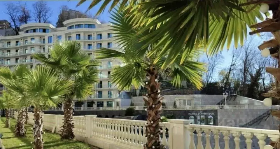Студия Краснодарский край, Сочи ул. Володарского, 5 (19.3 м) - Фото 2