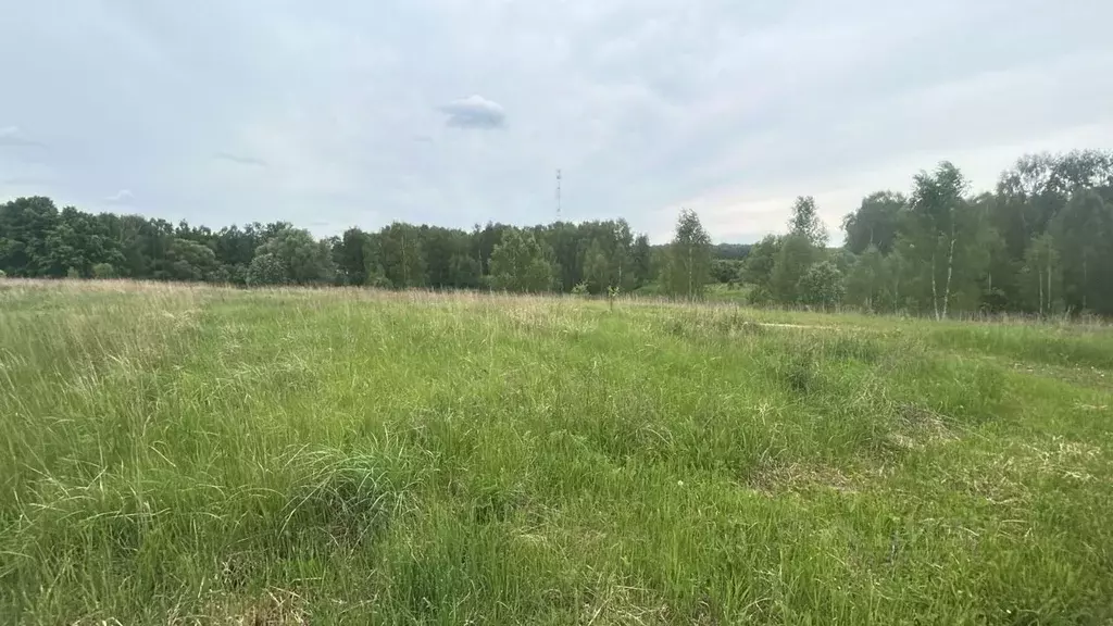 Участок в Московская область, Ступино городской округ, д. Акатово ул. ... - Фото 1