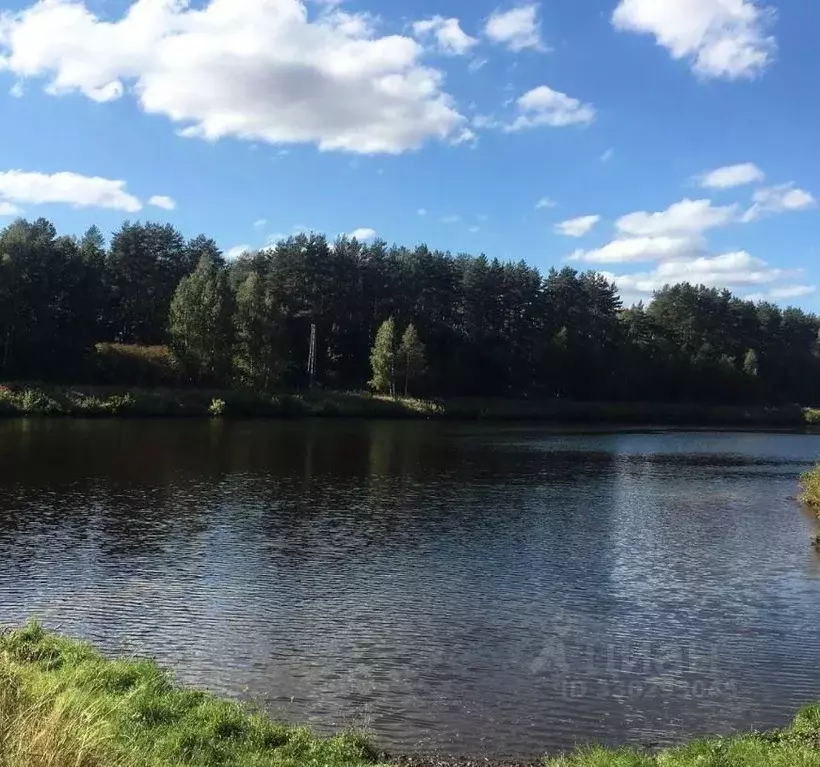 Участок в Московская область, Дмитровский муниципальный округ, с. ... - Фото 2