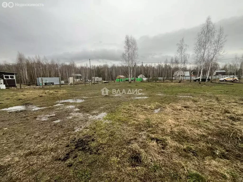 Участок в Московская область, городской округ Коломна, село Чанки (12 ... - Фото 1