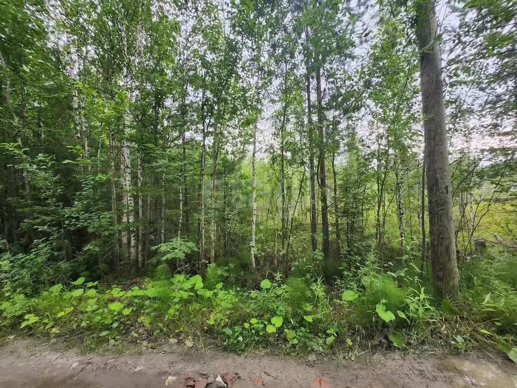 Участок в Ханты-Мансийский АО, Ханты-Мансийск Геофизик-2 СОТ,  (10.4 ... - Фото 1