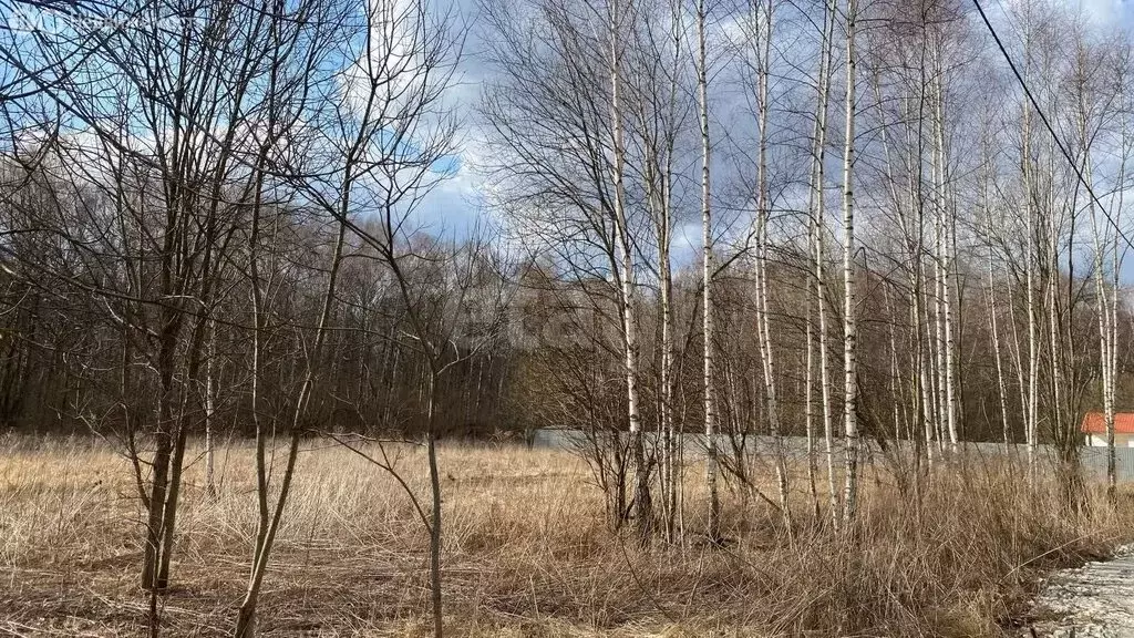 Участок в Тульская область, городской округ Тула, деревня Струково (15 ... - Фото 0