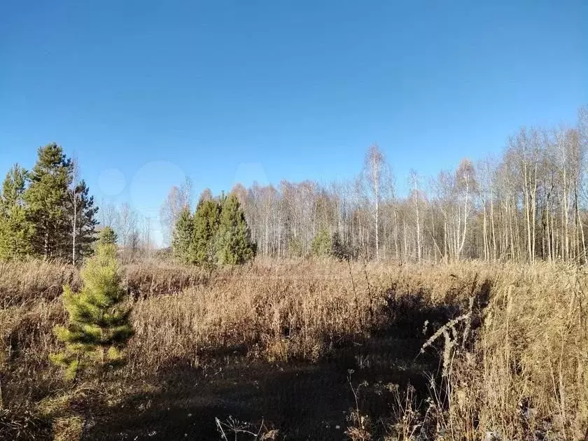 Участок 6 сот. (ИЖС) - Фото 1